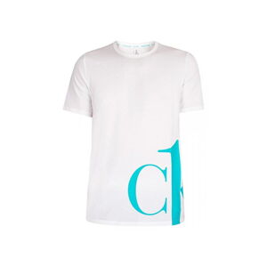 Tričko s krátkym rukávom Calvin Klein Regular Fit T-Shirt cwhite