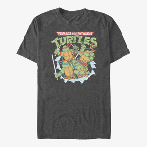 Queens Nickelodeon Teenage Mutant Ninja Turtles - Classic Turtle Group Unisex T-Shirt Dark Heather Grey