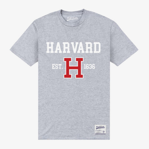 Queens Park Agencies - Harvard University Est 1636 Unisex T-Shirt Sport Grey