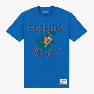 Queens Park Agencies - University Of Florida Gators Unisex T-Shirt Royal Blue