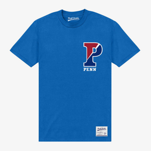 Queens Park Agencies - University Of Pennsylvania P Unisex T-Shirt Royal Blue